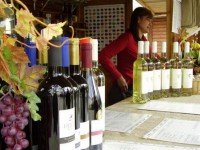 festival-vin-600x417