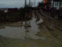 1465227_697939506890770_1540469121_n