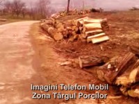 Taieri Salcami Zona Targului