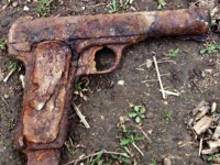 Pistol ruginit Brateiu