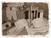 sezatoare printre carti