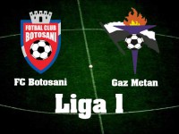 FC-Botosani-Gaz-Metan