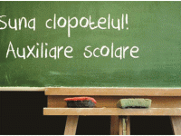 auxiliare