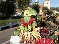 varza
