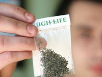 etnobotanice-615x300