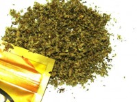 etnobotanice