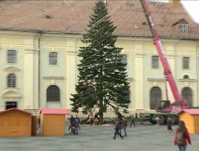 brad craciun sibiu