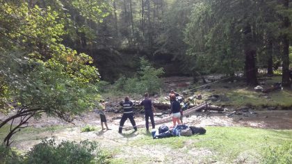 viitură râul avrig 1600x900