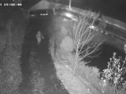 Vecinul urs | VIDEO Femeie fugărită de un urs pe străzile din Sovata Femeie fugărită de un urs pe străzile din Sovata