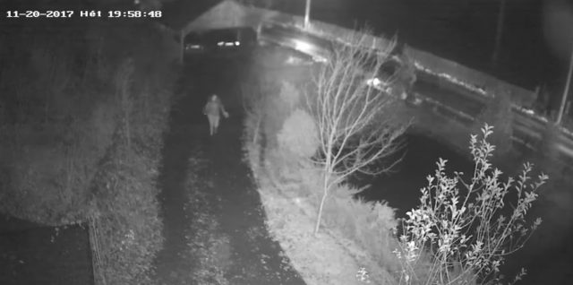 Femeie fugărită de un urs pe străzile din Sovata