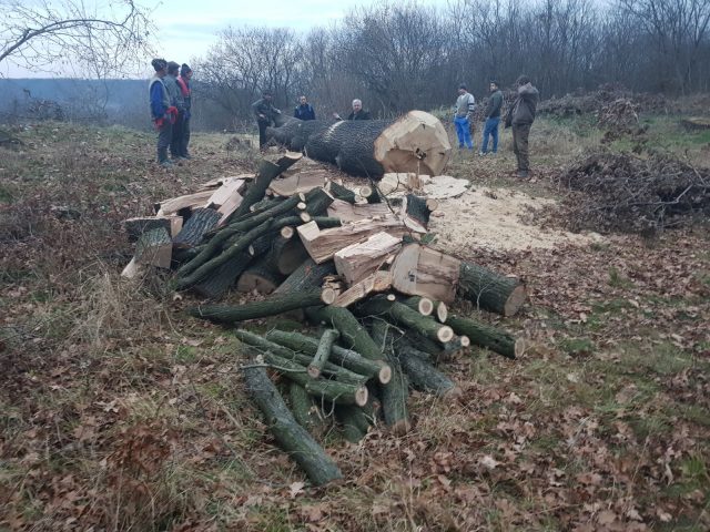 Taieri ilegale Politia la Târnava si Valea Viilor