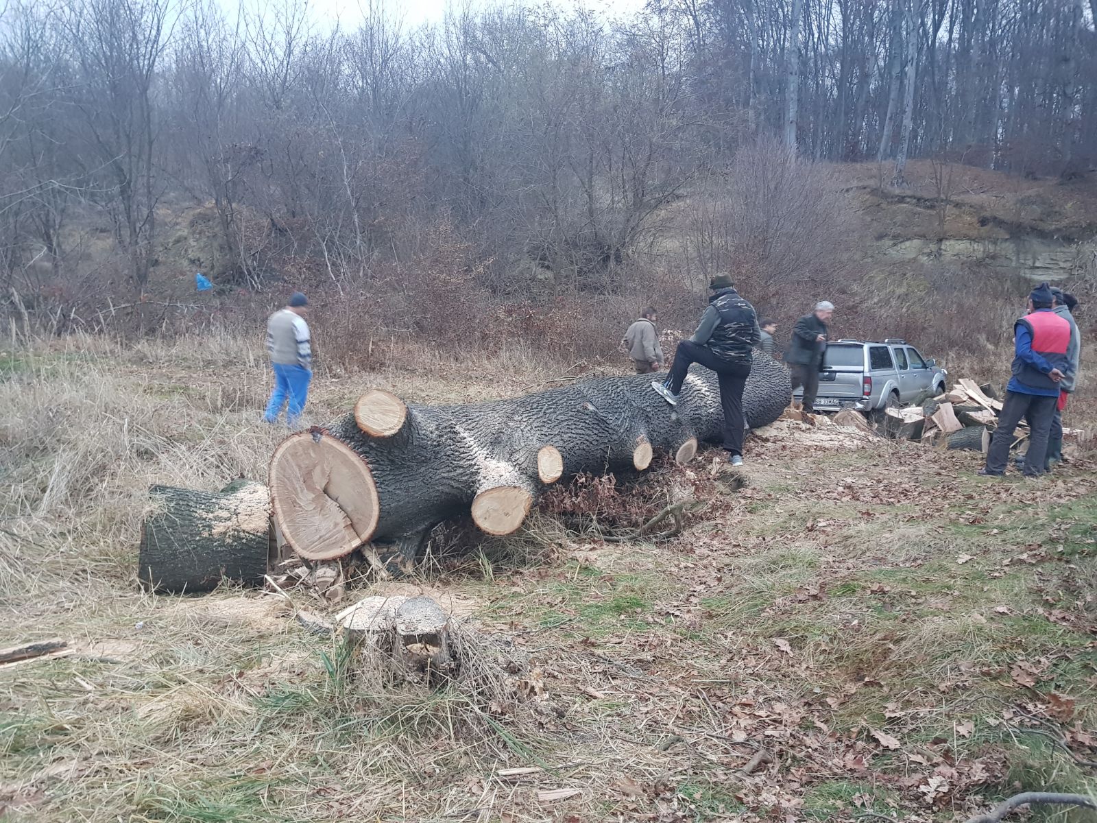 Politia la Târnava si Valea Viilor