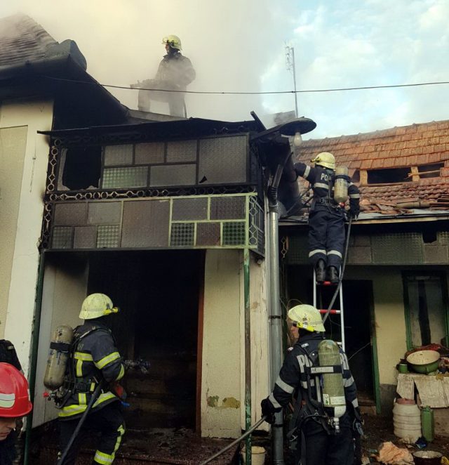 INCENDIU HAMBA1