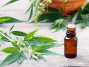 Americanii vin să cultive cannabis medicinal în Transilvania cannabis medicinal
