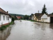 FOTO Ploaie abundentă la Pelișor | Grădini și o stradă inundate Inundații la Pelișor