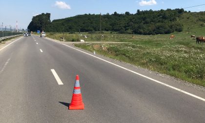 accident DN14 intrare în Hoghilag