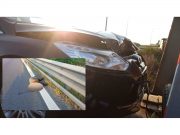 ALERTĂ pe Autostrada A1 | Al doilea urs tamponat mortal în 48 de ore urs tamponat mortal pe A1 Sibiu