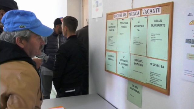 locuri de muncă