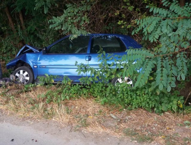 cu mașina în boscheți