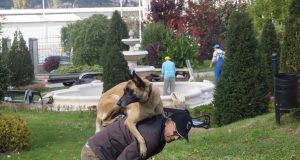 Lecție de dresaj canin de Ziua Mondială a Animalelor la Muzeul Gazelor Naturale Lecție de dresaj canin