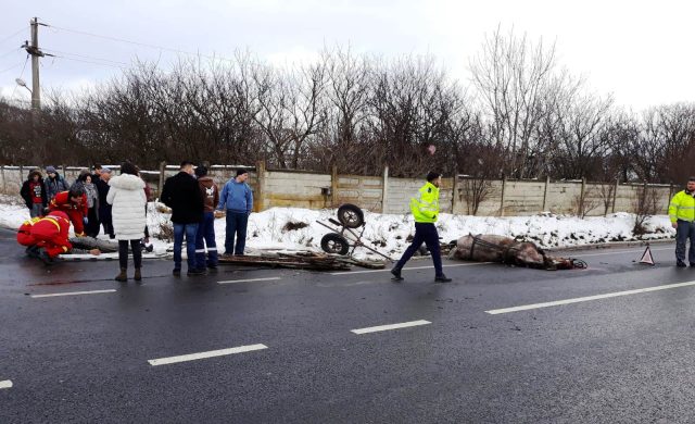 spulberată de un autoturism