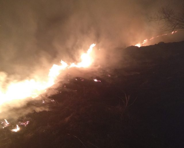 Incendiu uriaș de vegetație