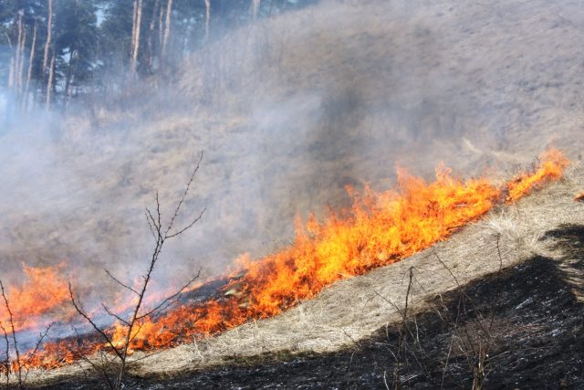 INCENDIU VEGETATIE permis