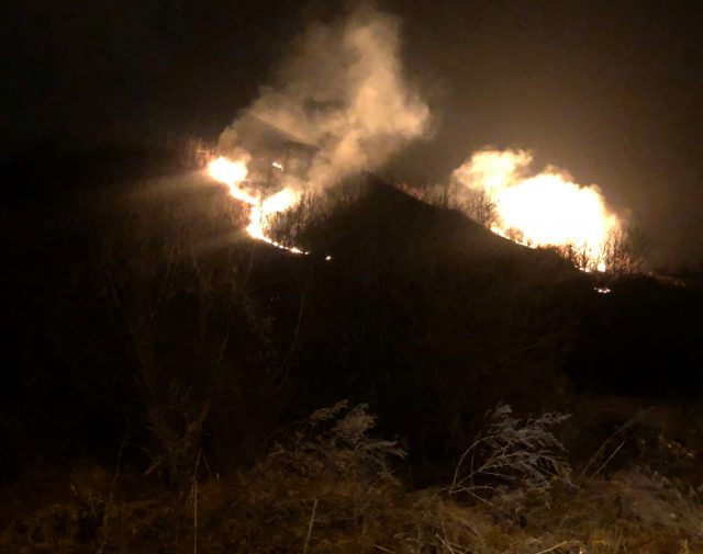 Incendiu de vegetație uscată