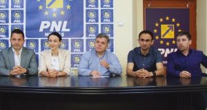 Mesajul lui Gheorghe Roman