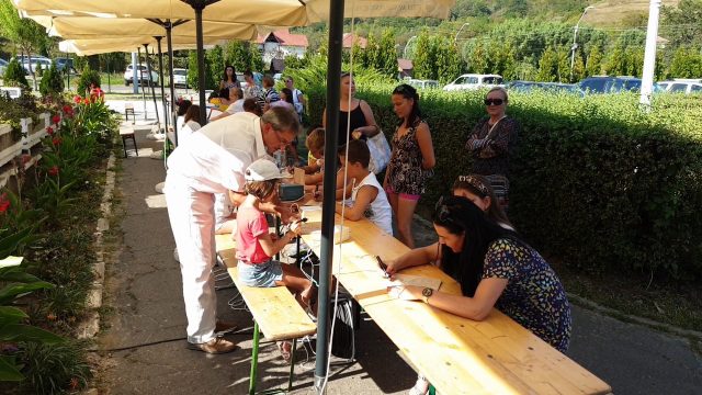 SPECTACOLUL VERII găzduit