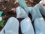Vremea culesului şi pentru hoţi | 4 bărbaţi prinşi cu 600kg de struguri la Jidvei furt de struguri jidvei