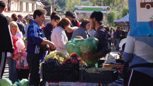 FESTIVALUL VERZEI1 Varza