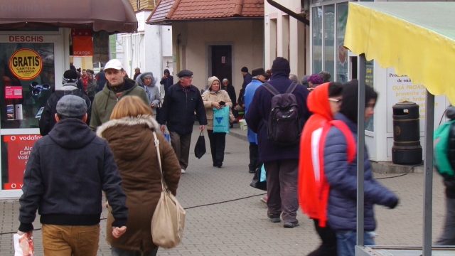 jucării