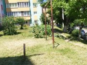 Acțiuni de întreținere a spațiilor verzi în cartiere