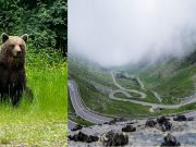 Transfăgărășan s-a redeschis astăzi