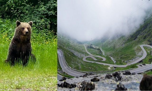 Transfăgărășan s-a redeschis astăzi