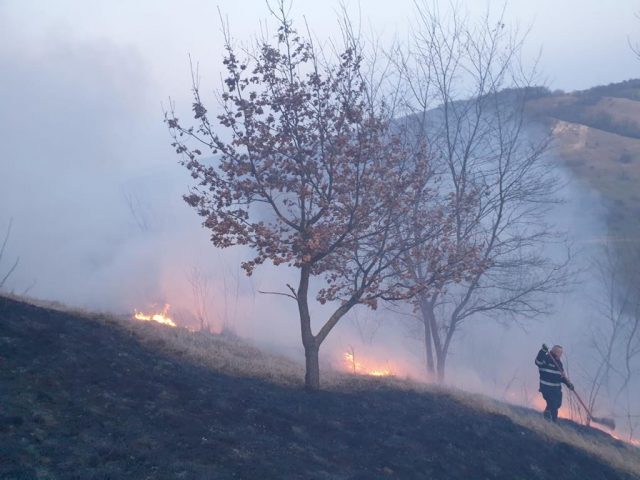 INCENDIU TAPU Țapu