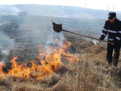 Fermieri din Harghita care și-au incendiat terenurile au rămas fără subvenţia de la UE