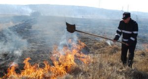 Fermieri din Harghita care și-au incendiat terenurile au rămas fără subvenţia de la UE