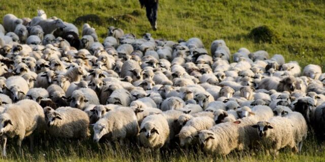 Bărbat reținut pentru ucidere