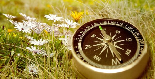 Este început de an!