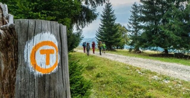 via-transilvanica (1) Premiul Publicului pentru Via Transilvanica