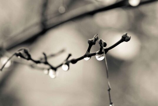 Lacrimile au efect terapeutic