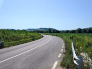 Accident între Mediaș și Moșna | Un autoturism a intrat în coliziune cu o căruță