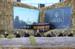 Povestea Vinului la Mediaș | Programul complet al evenimentului