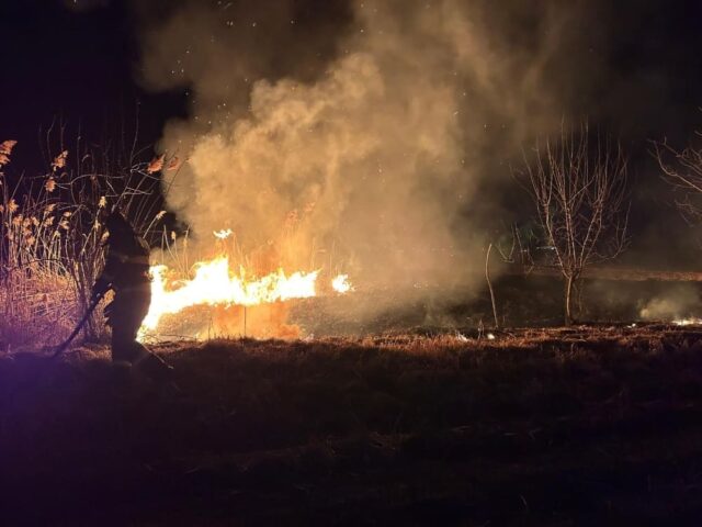 incendii vegetatie (1)
