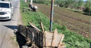 Accident pe DJ 106 | O căruță a lovit un stâlp | Foto