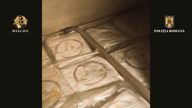 Transport cu 66,5 kilograme cocaină capturat în județul Sibiu