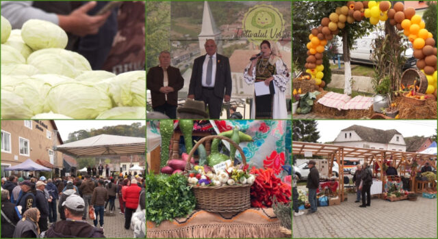 festivalul verzei