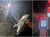 Un medieșean cu 1,02 alcoolemie a rămas blocat cu tirul pe calea ferată | Foto